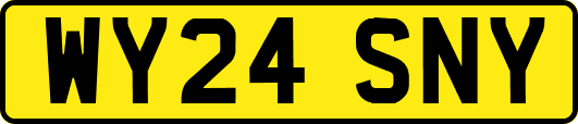 WY24SNY