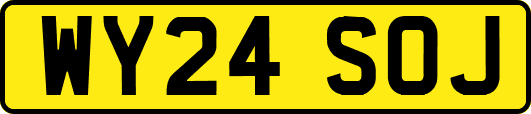WY24SOJ