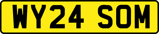 WY24SOM