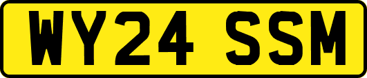 WY24SSM