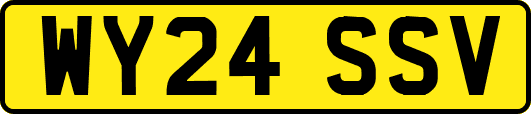 WY24SSV