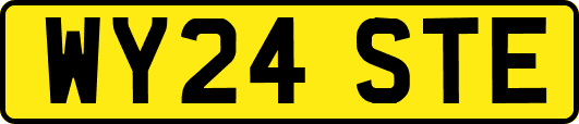 WY24STE