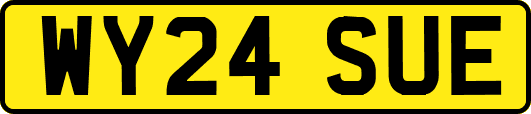 WY24SUE