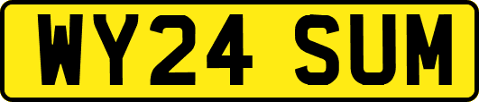 WY24SUM