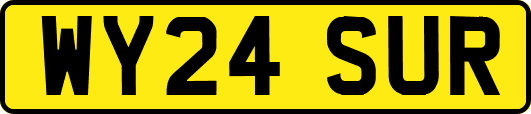 WY24SUR