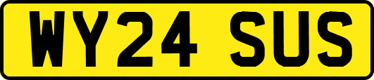 WY24SUS