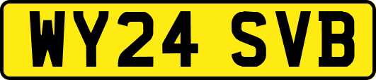 WY24SVB