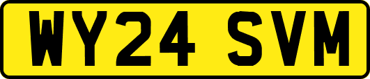 WY24SVM