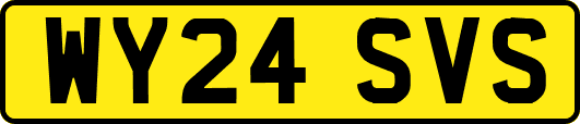 WY24SVS