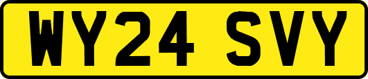 WY24SVY