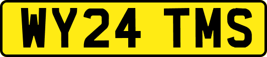 WY24TMS