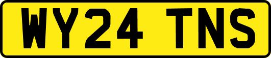 WY24TNS