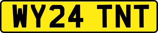 WY24TNT