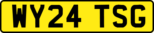 WY24TSG