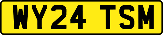 WY24TSM