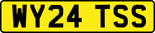 WY24TSS