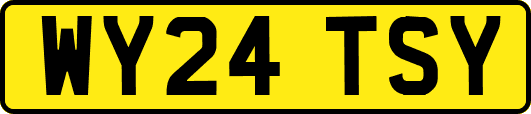 WY24TSY