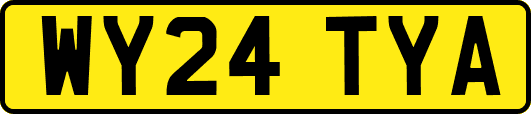 WY24TYA