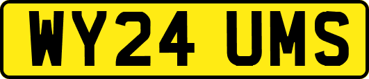 WY24UMS