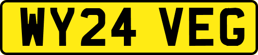 WY24VEG