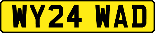 WY24WAD
