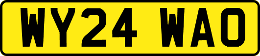 WY24WAO