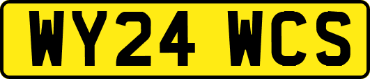 WY24WCS