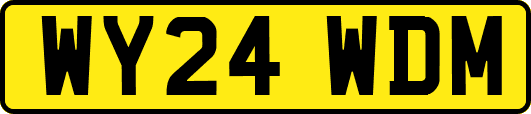 WY24WDM
