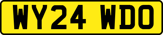 WY24WDO
