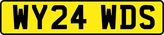 WY24WDS