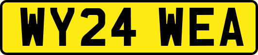 WY24WEA