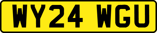WY24WGU