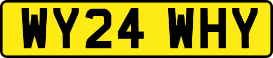 WY24WHY