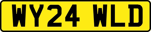 WY24WLD