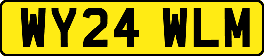 WY24WLM