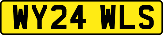 WY24WLS