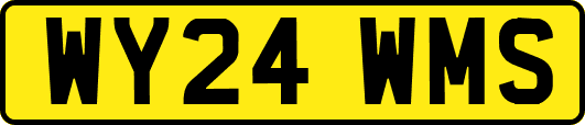 WY24WMS