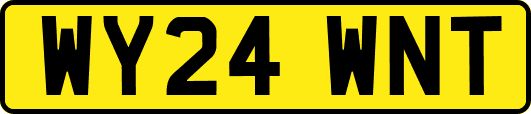 WY24WNT