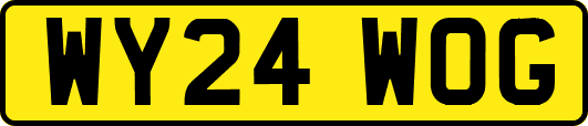WY24WOG