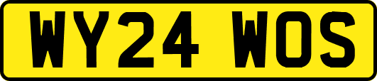 WY24WOS