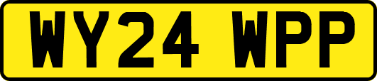 WY24WPP