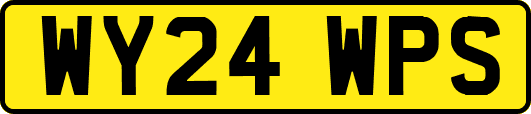 WY24WPS