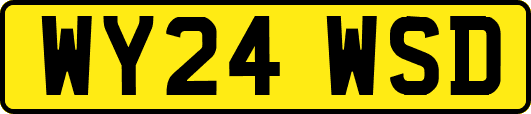 WY24WSD