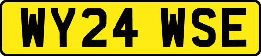 WY24WSE