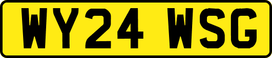 WY24WSG
