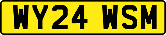 WY24WSM