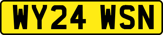WY24WSN