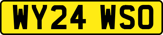 WY24WSO