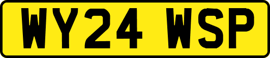 WY24WSP