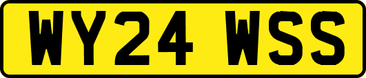 WY24WSS